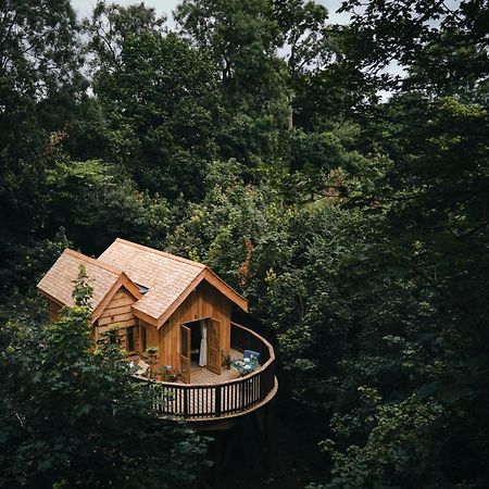 Wildhive Callow Hall アッシュボーン エクステリア 写真