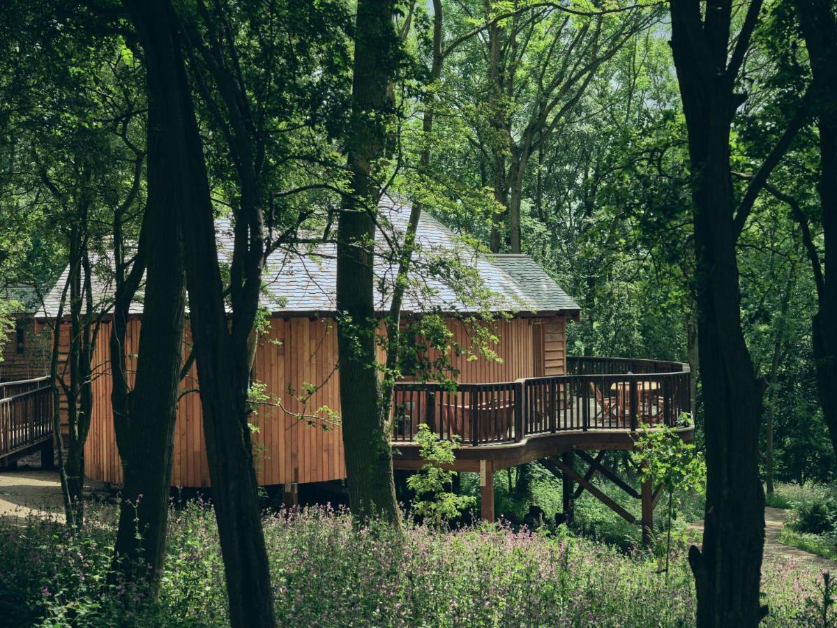 Wildhive Callow Hall アッシュボーン エクステリア 写真