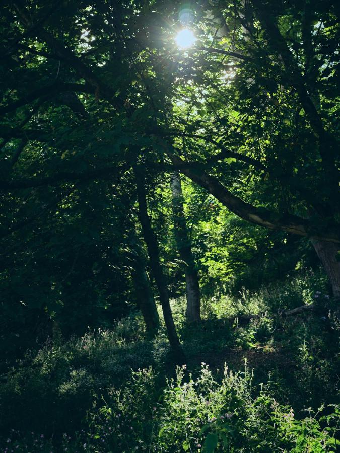 Wildhive Callow Hall アッシュボーン エクステリア 写真